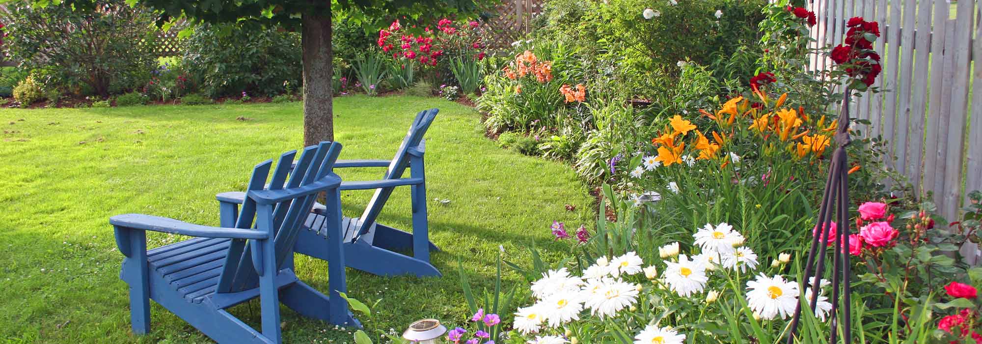 Backyard Garden in Oshkosh, WI