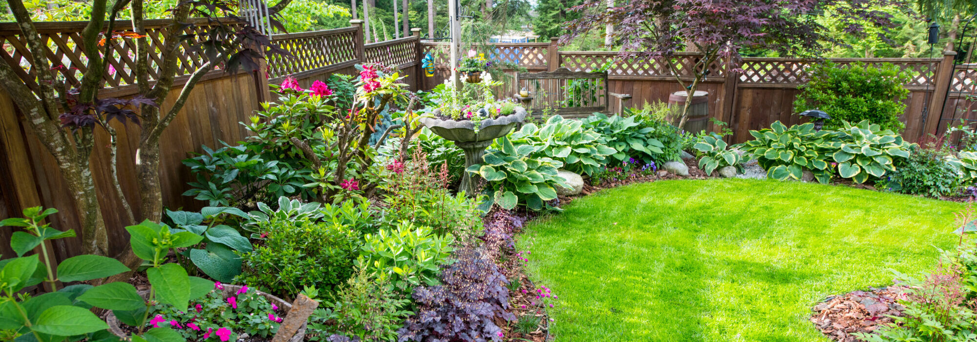 Large backyard landscaping space